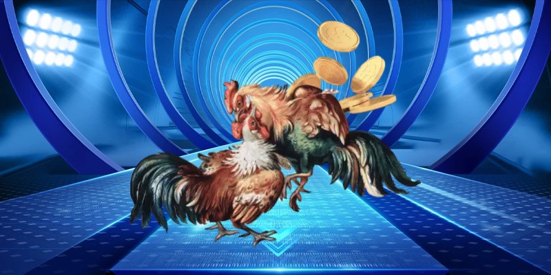 đá gà cựa sắt 88clb