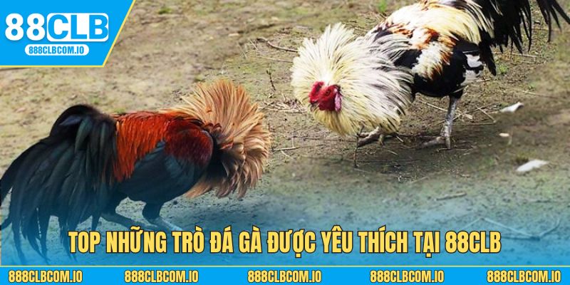 Top những trò đá gà được yêu thích tại 88CLB